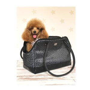 Hera caniche toy roja de Salvaterra de magos. Criador de caniches toy. cachorro de caniche toy real apricot. caniche toy leonado de calidad. busco cachorro de caniche toy