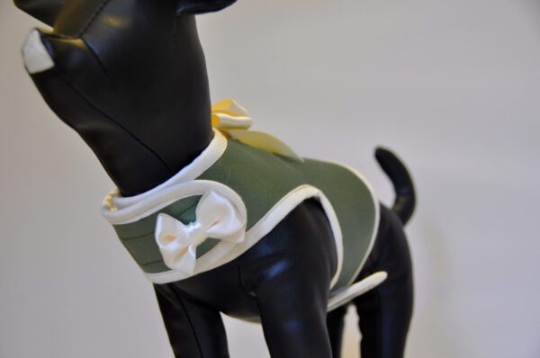 Chaleco canino
