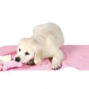 toalla rosa con juguete ideal para entretener