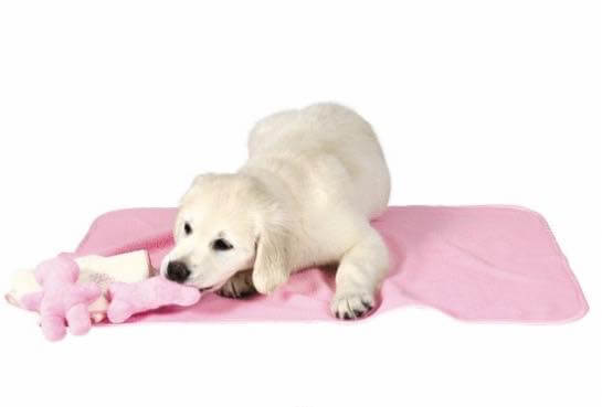toalla rosa con juguete ideal para entretener
