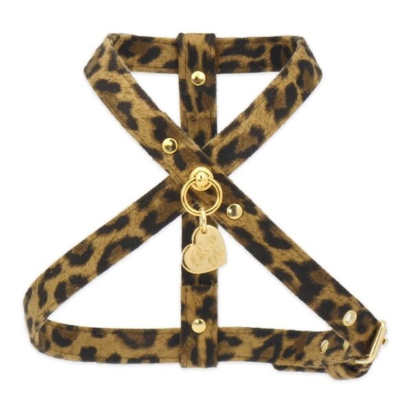 arnes leopardo alcantara de piccoli pets criadores de salvaterra de magos caniches toy apricot