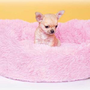 cama baby rosa