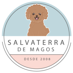 cropped-Logo-salvaterra-de-Magos.png