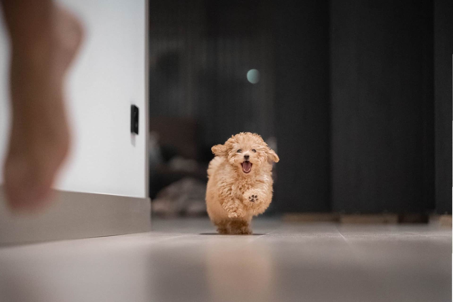 Asesoramiento personalizado