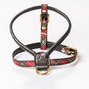 Arnes Buckingham Escocés Rojo Be-Two Salvaterra de Magos