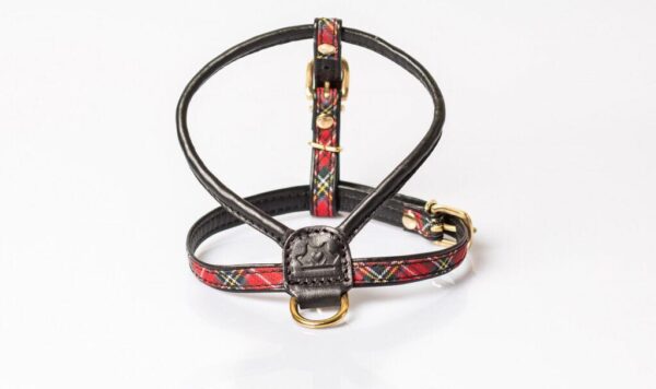 Arnes Buckingham Escocés Rojo Be-Two Salvaterra de Magos