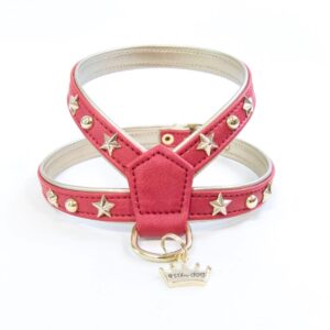 arnes lua rojo de la firma estilo for dog para perros de talla pequeña somos criadores de caniches toy apricot y cavalier