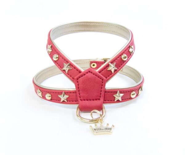 arnes lua rojo de la firma estilo for dog para perros de talla pequeña somos criadores de caniches toy apricot y cavalier