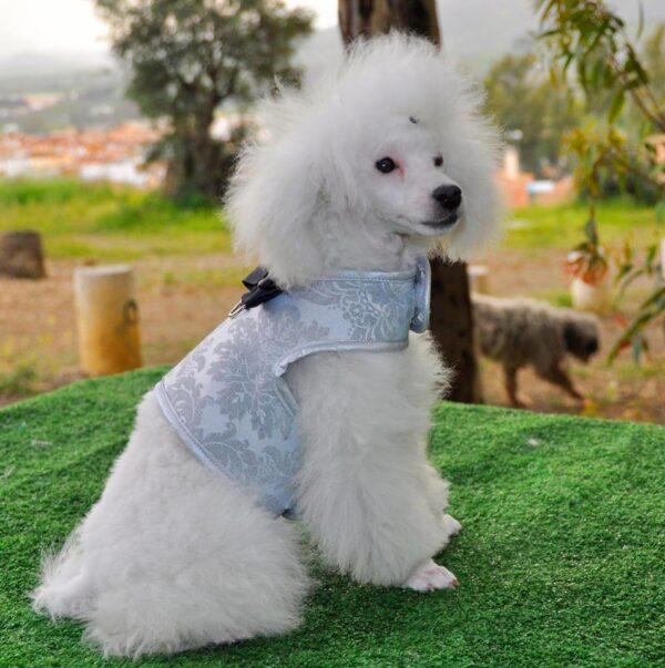 Arnes Chaleco Nerys gris