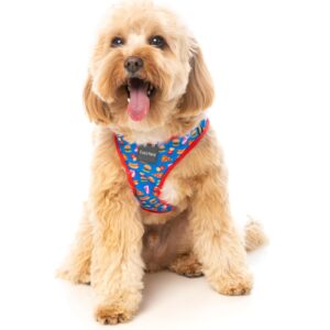 arnes Fuzzyard para perros de talla pequeña. Criadores de caniche toy rojo, caniches mini toy apricot y cavalier.
