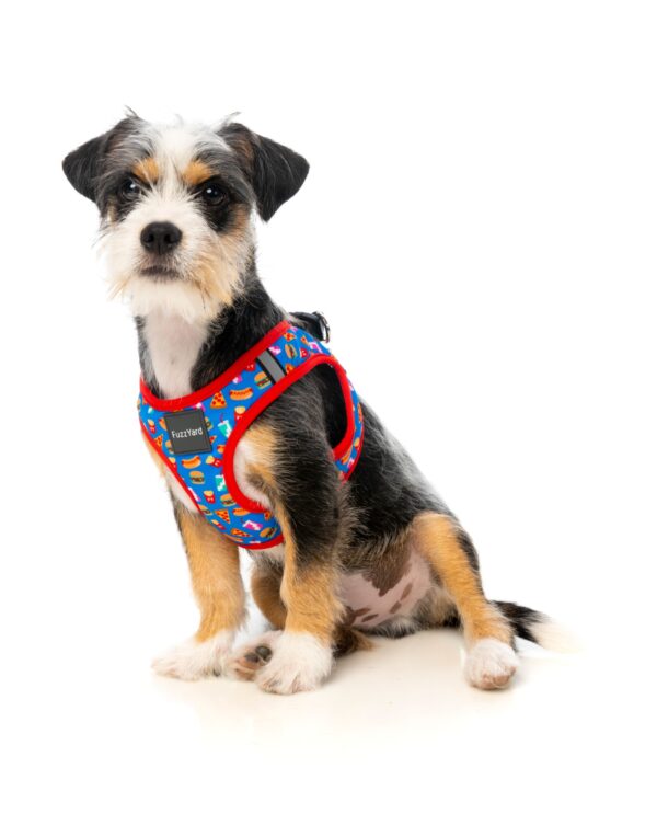 arnes Fuzzyard para perros de talla pequeña. Criadores de caniche toy rojo, caniches mini toy apricot y cavalier.