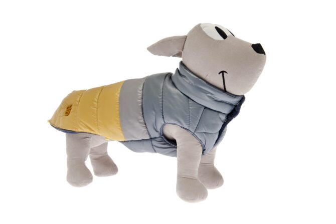 Abrigo-Bizarre-de-Ferribiella.-Salvaterra-de-magos-criadores-de-caniches-toy-min-scaled Abrigo Impermeable Bizarre Amarillo - Imagen 1