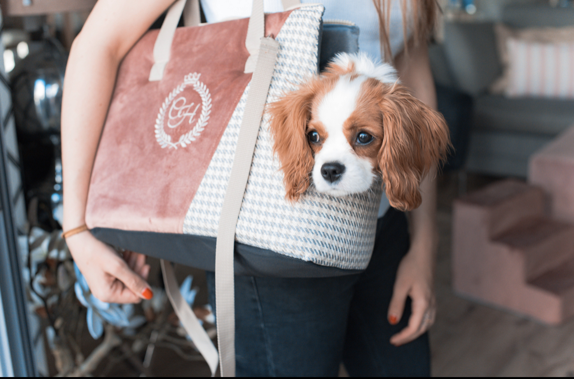 Bolsos para top perros caniches