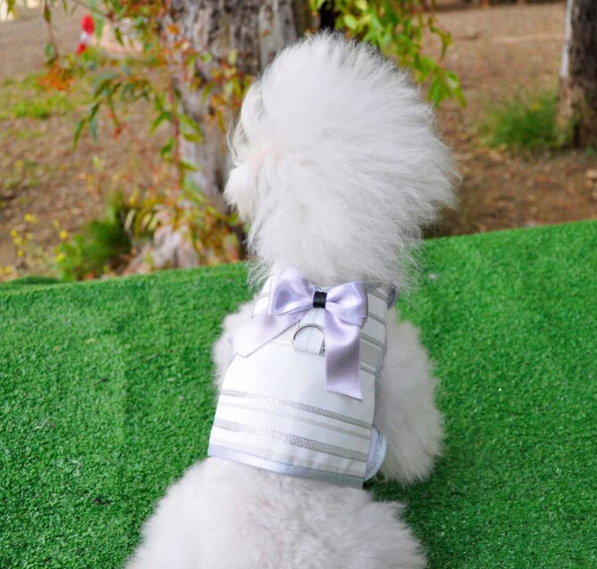 Calan-1 Arnes Chaleco Calan - Imagen 1