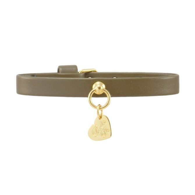 Collar Simple Verde Militar de Piccoli Pets - Imagen 1