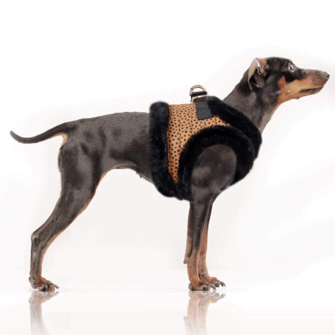 Arnés Katoun de Milk And Pepper - Imagen 2