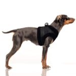 Arnés Kurt de Milk And Pepper - Imagen 2