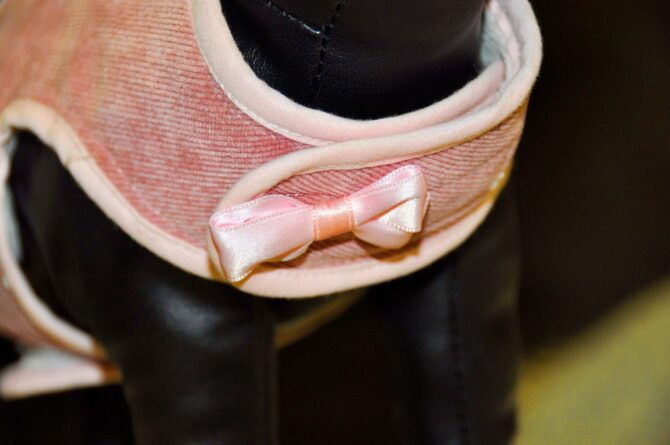 Gare1-1-scaled Arnés Chaleco Gare - Imagen 2