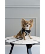 Arnes Finessa Black - Imagen 2