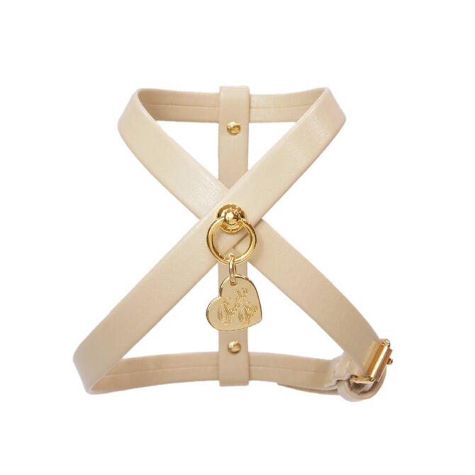 Collar Simple Cookie de Piccoli Pets - Imagen 2