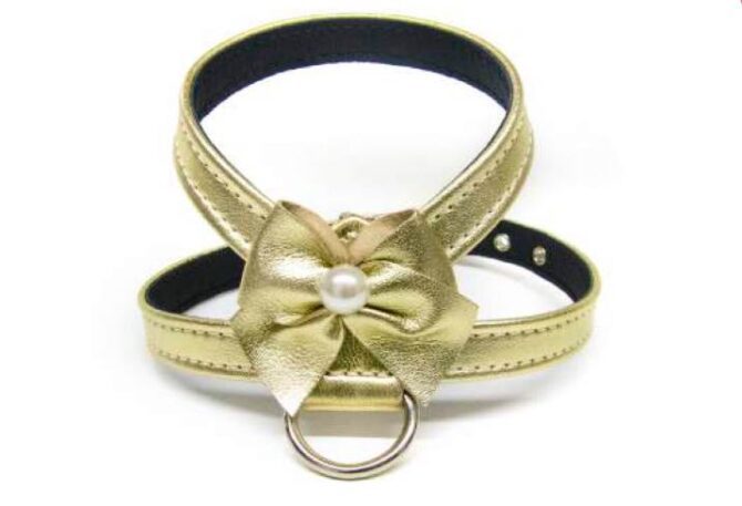 pelita-1 Arnés Perlita - Imagen 1