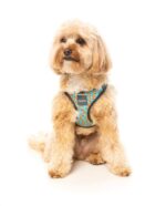 Arnés Step In Pizza Lyf de Fuzzyard