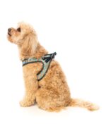 Arnés Step In Super Size Mev de Fuzzyard - Imagen 3