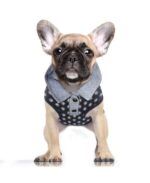 Polo Reef de Milk&Pepper - Imagen 2