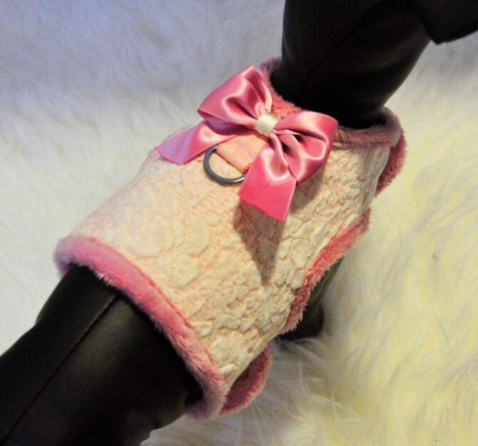 shaw2-4-scaled Arnés Chaleco Shaw - Imagen 5