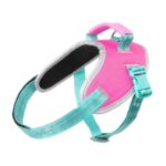 Arnes Bubblegum de Fuzzyard. Arnes seguro para cachorros de caniche toy. Arnes sin presion para caniche