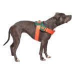 Arnes Commando de Fuzzyard. arnes seguro y arnes comodo para cachorros de caniche