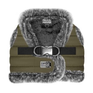 arnes felix de milk and pepper. arnes de invierno para caniche toy. arnes seguro de caniches toy barcelona