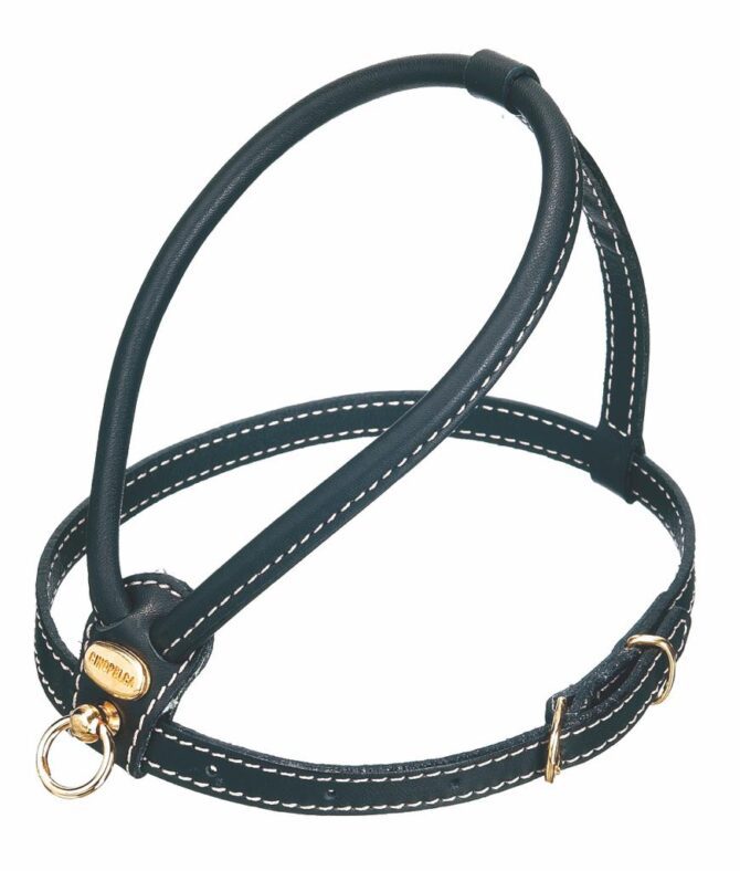 Arnes Negro de Cinopelca - Imagen 1