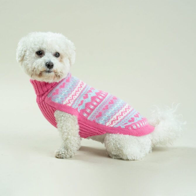 Jersey Bubble Gum de Alqo wasi. jersey comodo para caniche toy. ropa de invierno caniche toy