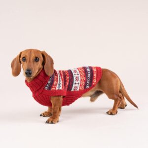 Ropita para caniche toy 2025