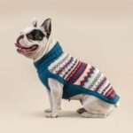Jersey Iceberg de Alqo Wasi. jersey para caniche toy
