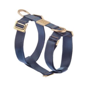 Conjunto de Arnes y Correa Mida Azul. arnes comodo para caniche. arnes de ferribiella seguro. salvaterra de magos caniches toy