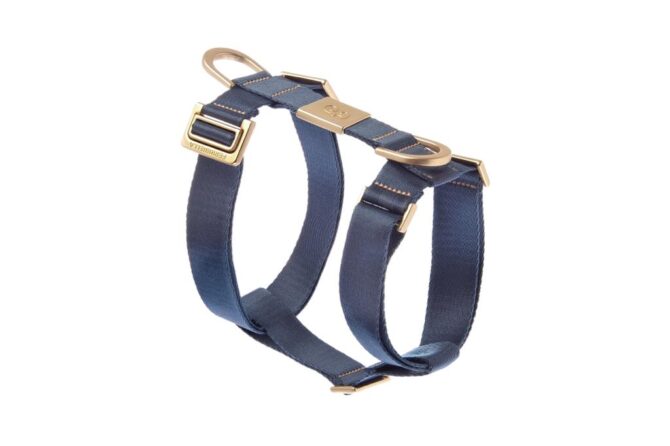 Conjunto de Arnes y Correa Mida Azul. arnes comodo para caniche. arnes de ferribiella seguro. salvaterra de magos caniches toy