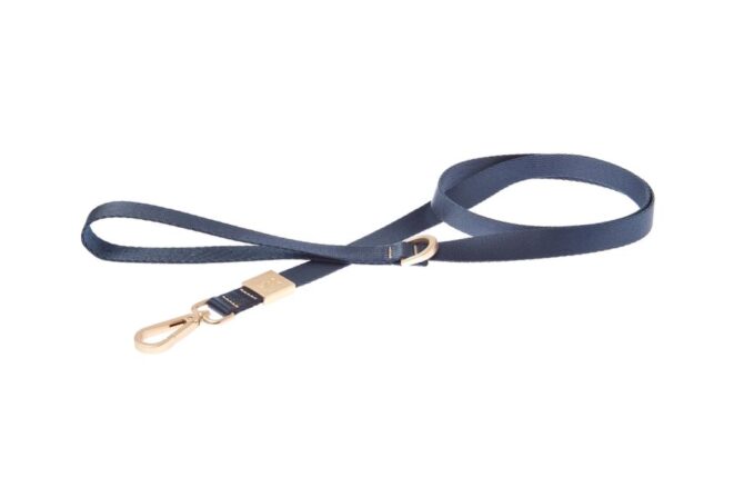 Conjunto de Arnes y Correa Mida Azul. arnes de nylon de ferribiella. salvaterra de magos tienda online para caniche toy