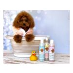 Bañeras para caniches toy. bañera plegable para caniche toy. bañera comoda para perros