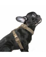 Conjunto de Arnes y Correa Dawson Beige de Milk and Pepper - Imagen 2