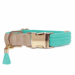 Conjunto Agua Marina Kaya de Milk and Pepper. collar kaya agua marina de milk&pepper. collar de verano para caniche toy