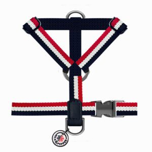 Arnes-Courchevel-de-Milk-and-Pepper-de-Salvaterra-de-Magos-Arnes-para-caniches-de-Salvaterra-de-Magos.