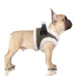 Arnes-Joakim-de-Milk-and-Pepper-de-Salvaterra-de-Magos-Arnes-para-caniches-de-Salvaterra-de-Mahos-Arnes-para-el-invierno-de-Salvaterra-de-Magos