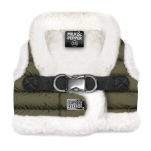 Arnes-Joakim-de-Milk-and-Pepper-de-Salvaterra-de-Magos-Arnes-para-caniches-de-Salvaterra-de-Mahos-Arnes-para-el-invierno-de-Salvaterra-de-Magos.
