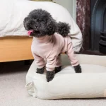 Pijama-de-FuzzYard-de-color-rosa-para-caniches-de-Salvaterra-de-Magos-Pijama-de-invierrno-para-caniches-de-Salvaterra-de-Magos