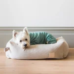 Pijama-de-FuzzYard-de-color-verde-para-caniches-de-Salvaterra-de-Magos-Pijama-de-invierrno-para-caniches-de-Salvaterra-de-Magos