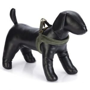 Arnes-verde-terciopelo-de-Designed-by-Lotte-para-caniches-Arnes-verde-terciopelo-de-Designed-by-Lotte-para-caniches-de-Salvaterra-de-Magos