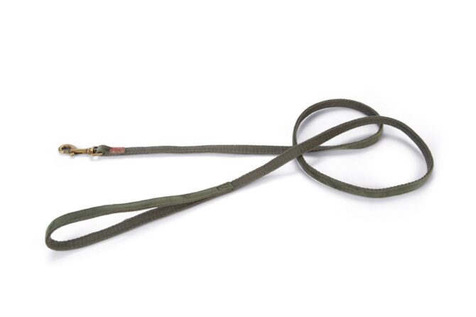 Correa-verde-terciopelo-de-Designed-by-Lotte-para-caniches-Correa-verde-terciopelo-de-Designed-by-Lotte-para-caniches-de-Salvaterra-de-Magos