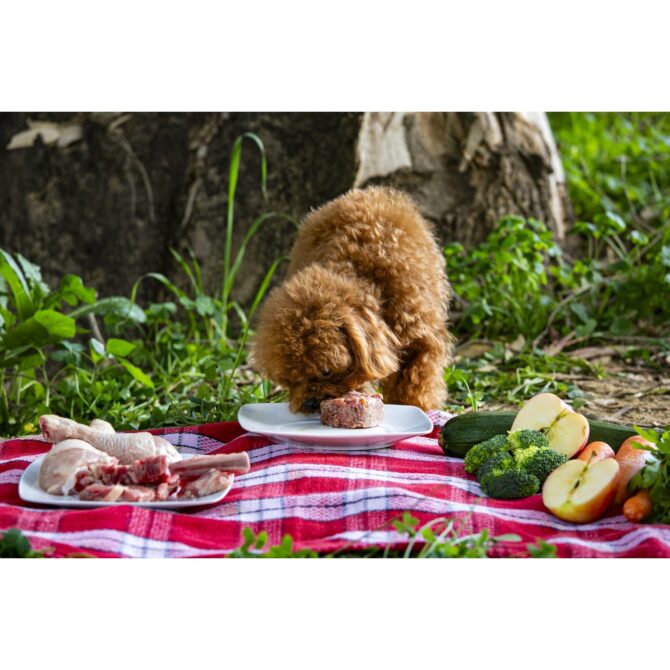 Menú Barf de Cordero - Imagen 2